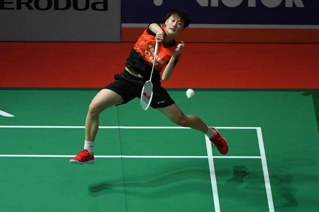 似活动提供 似活动提供